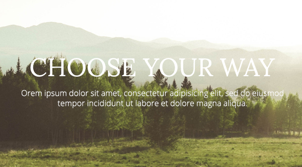 CHOOSE YOUR WAY